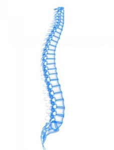 Spinal treatments